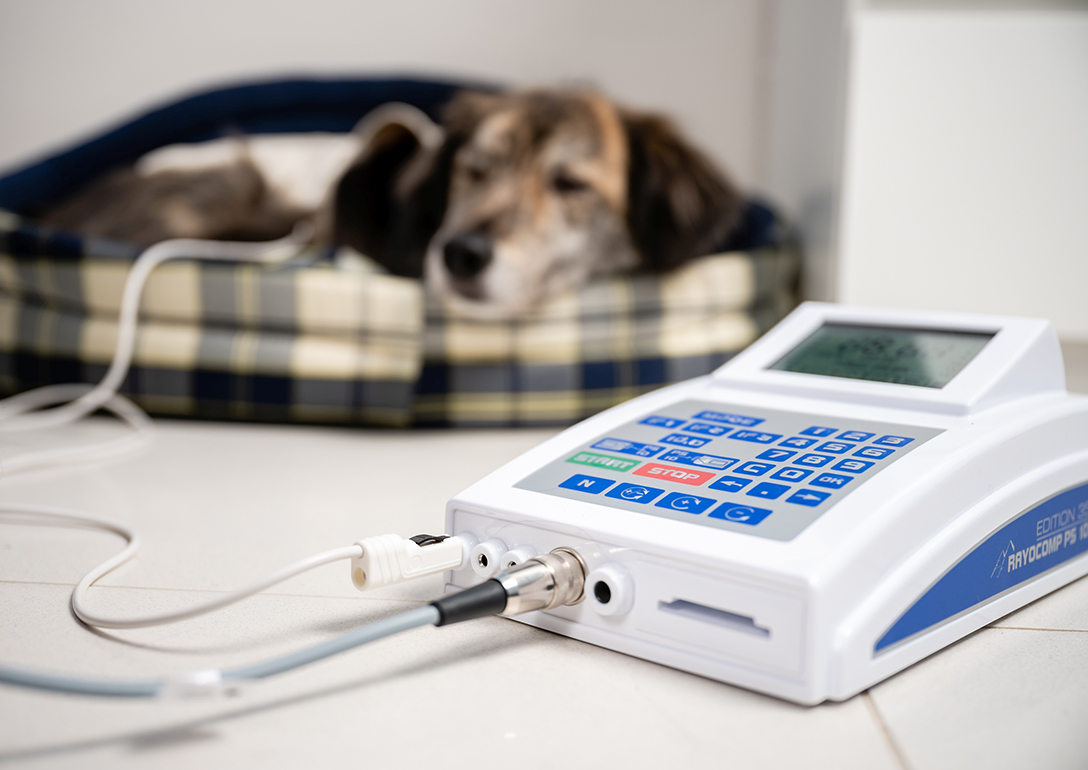 Im Vordergrund steht das Bioresonanz-Gerät von Rayonex. Im Hintergrund liegt ein Hund ruhig in seinem Korb, während er eine Behandlung erhält.
